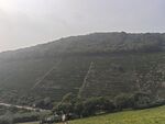 茶山