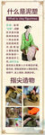 环保志愿者活动宣传海报