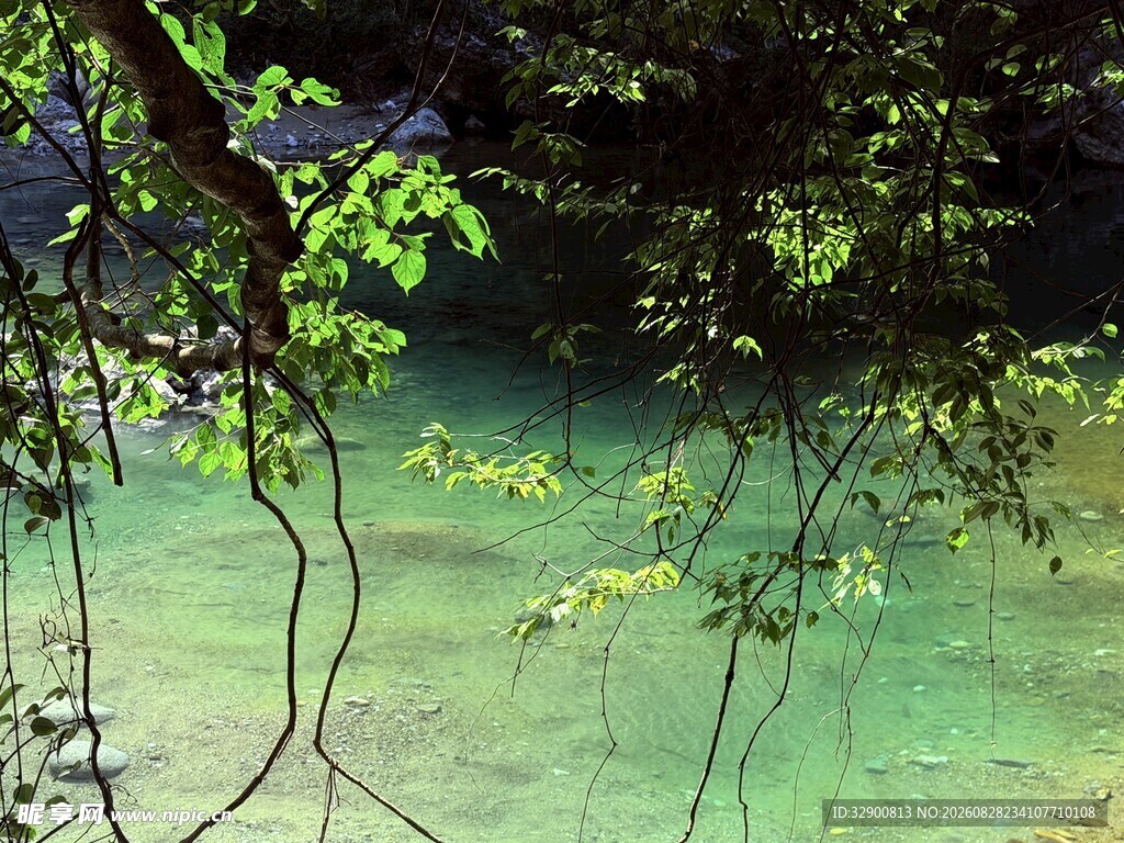 清幽绿水间的自然景致