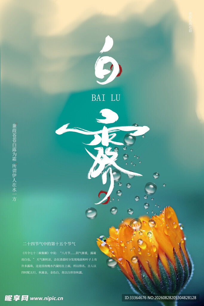 白露