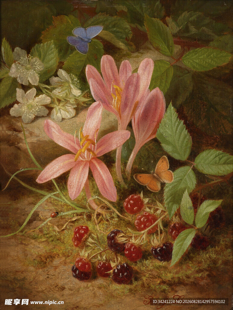 花卉浆果静物油画