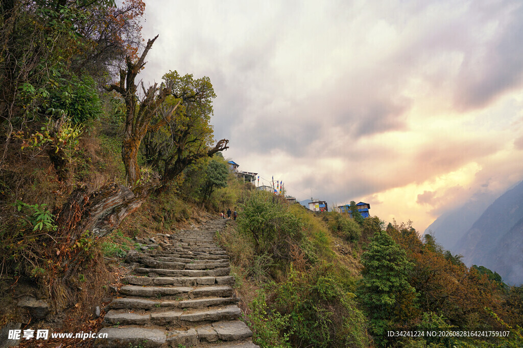 山间石阶小路秋景如画