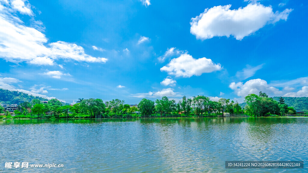 湖畔蓝天绿树美景