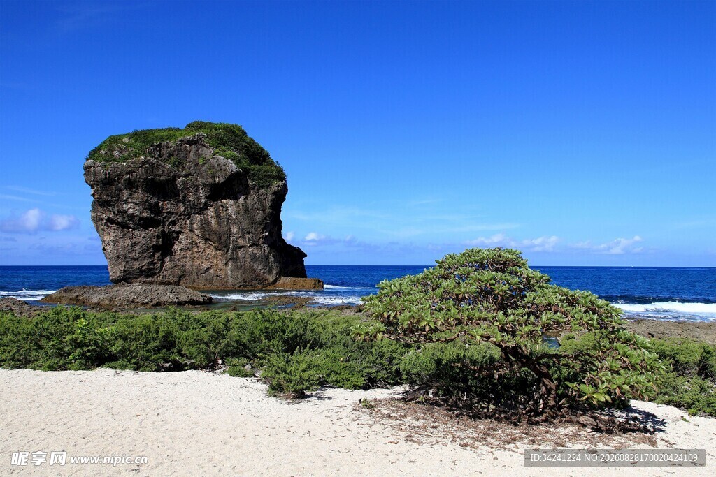 海边孤石与绿植景观