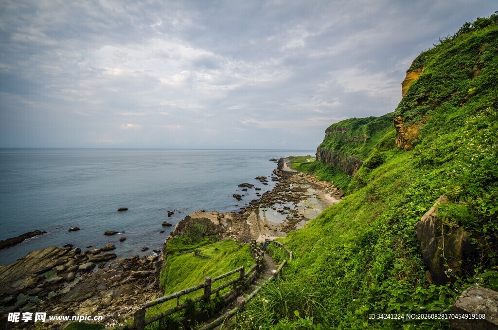 海岸绿意盎然的美丽景致