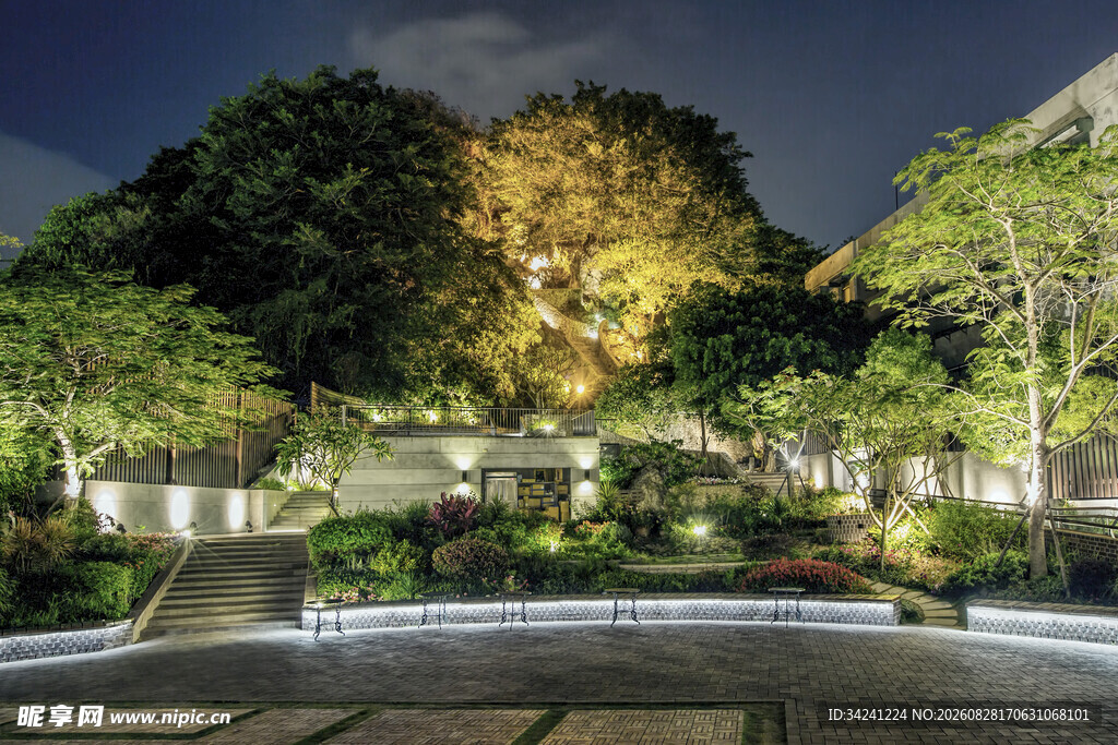 夜晚静谧的庭院景观