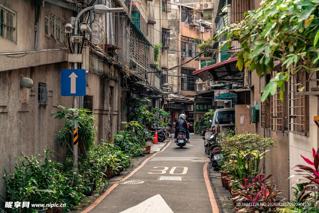 狭窄小巷绿植环绕的景致