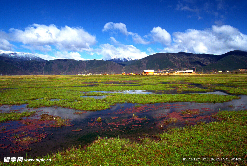 草原湿地风光美景