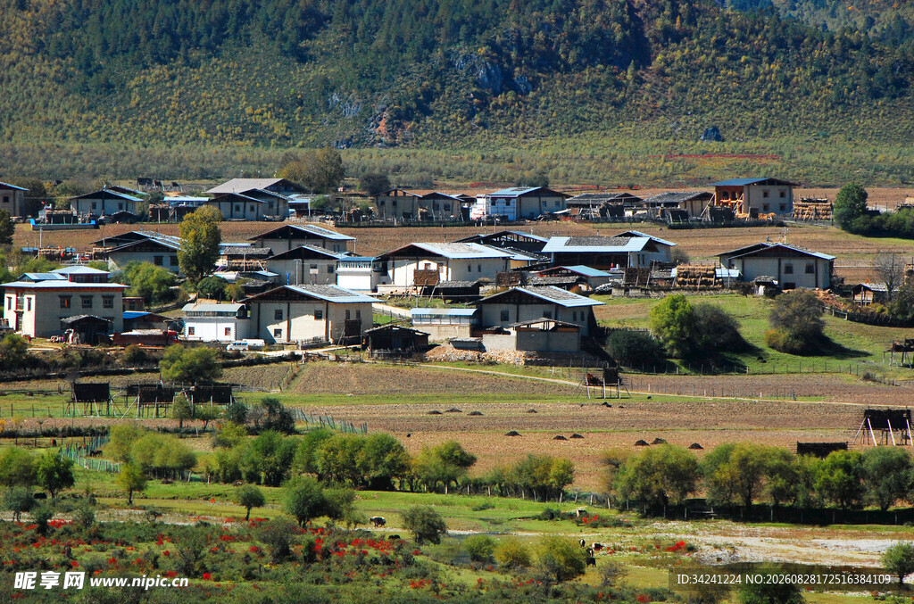 山间村落风景