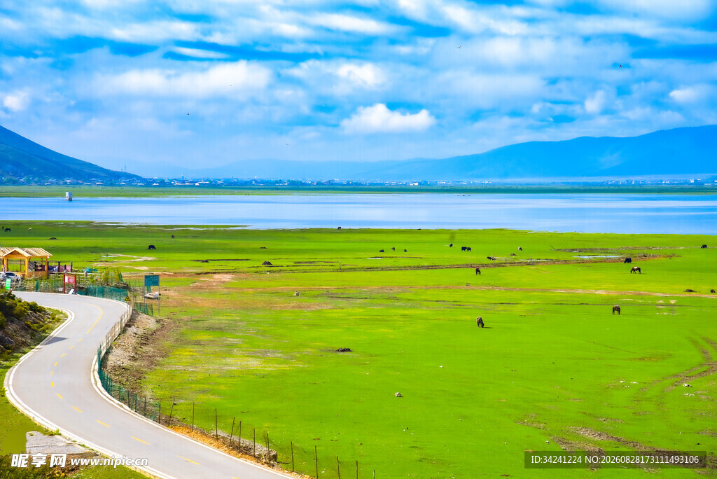 草原风光与蜿蜒小路美景
