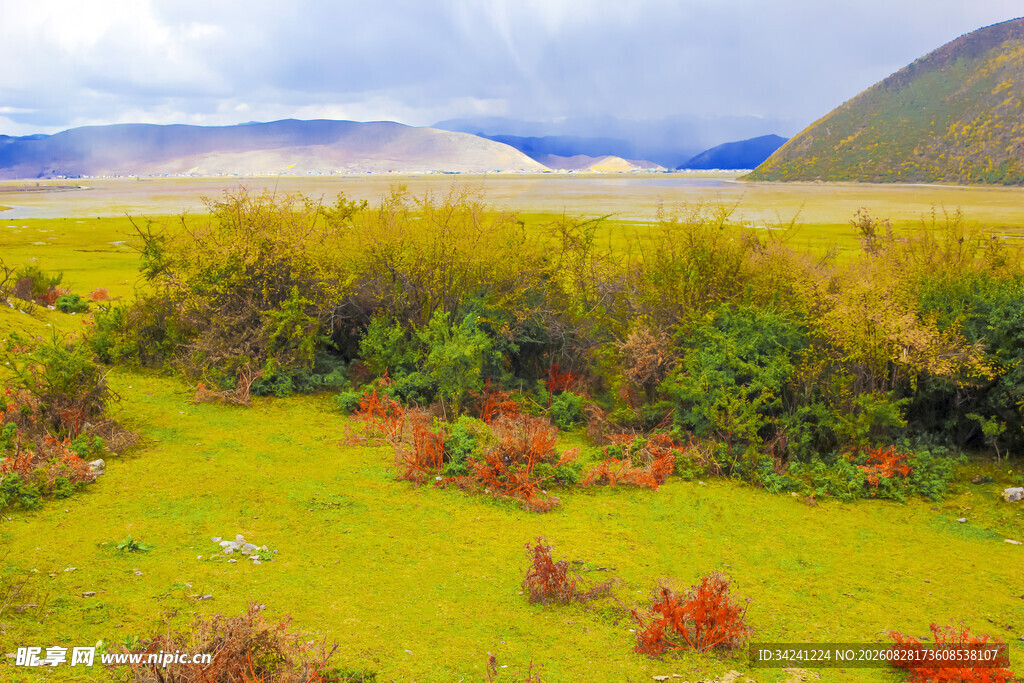 草原多彩植被与远山美景