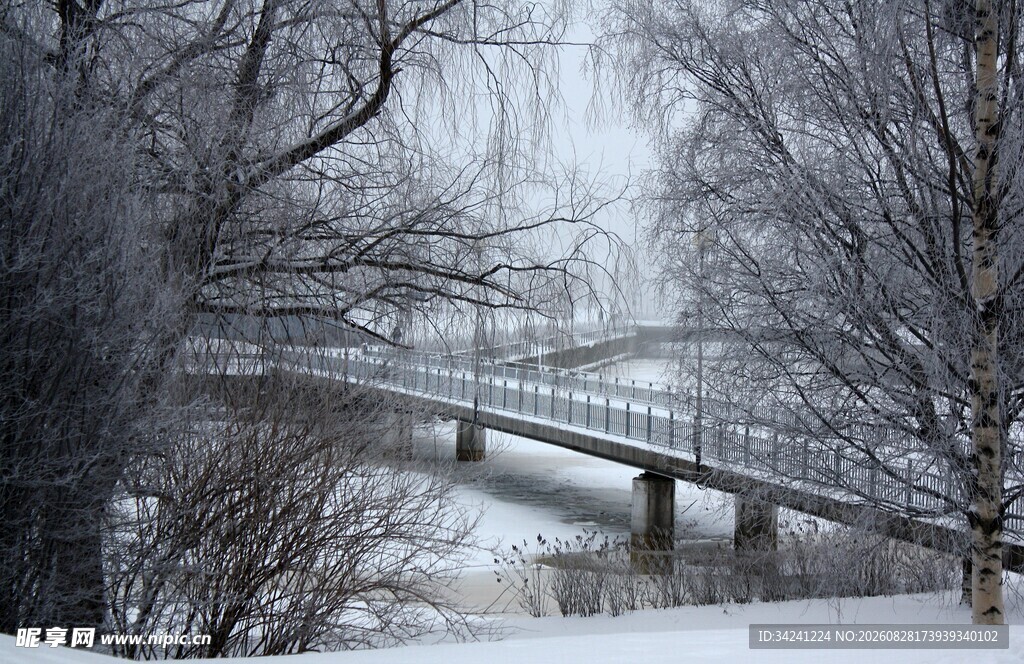 冬日雪桥风景