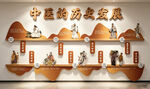 中医的历史发展 中医院文化墙