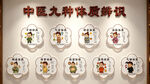 中医九种体质辨识 医院文化墙