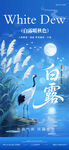 白露海报图片