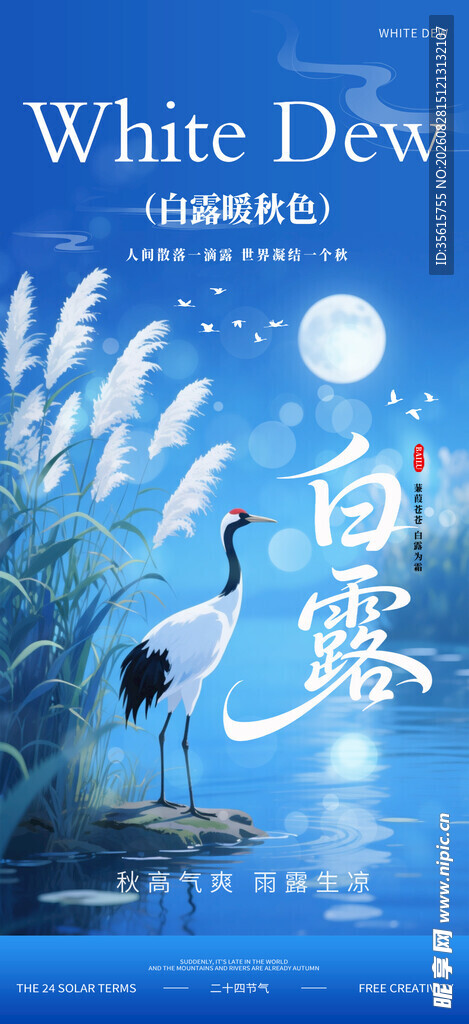 白露海报图片