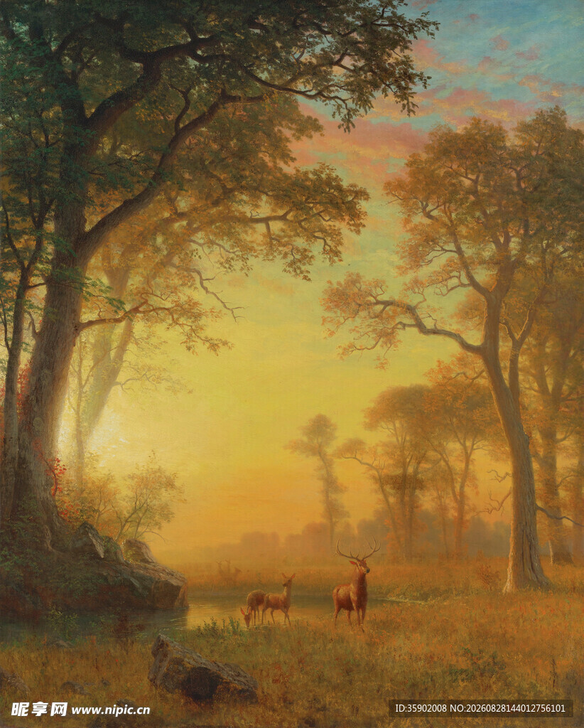 黄昏林间一人一犬静谧景