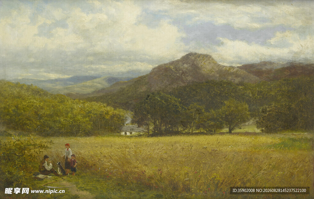 田园风光中的静谧乡村景色