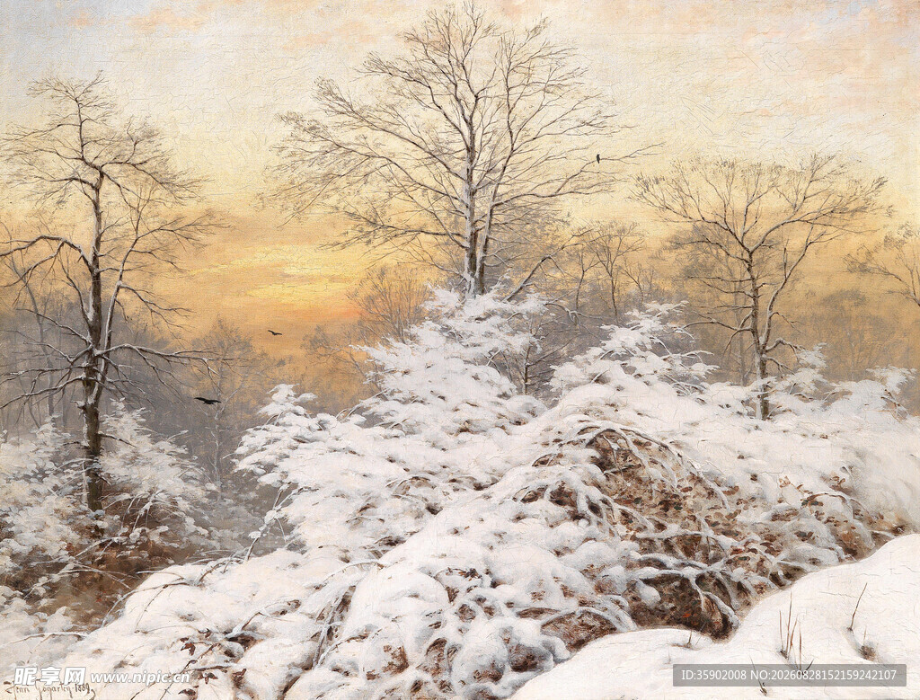 冬日雪覆树林美景