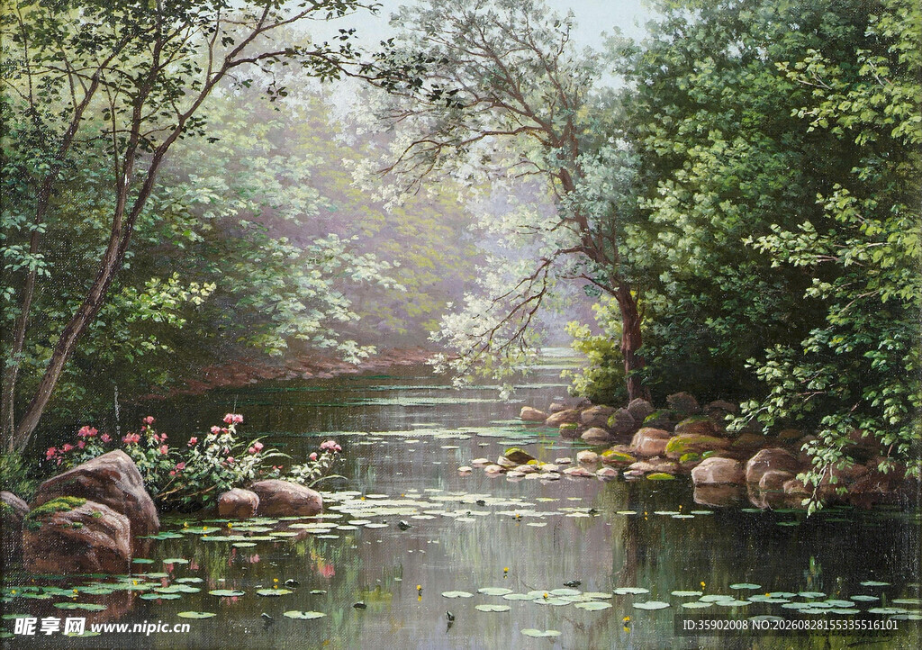 林间溪流静谧自然景致