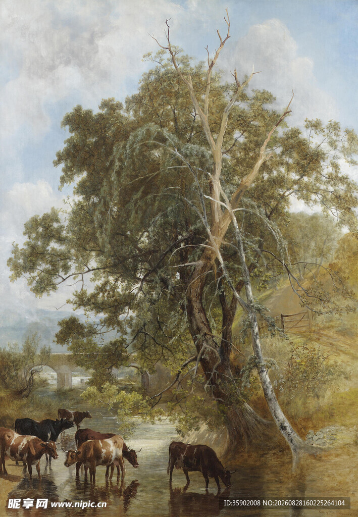 河畔牛群与茂盛大树图景