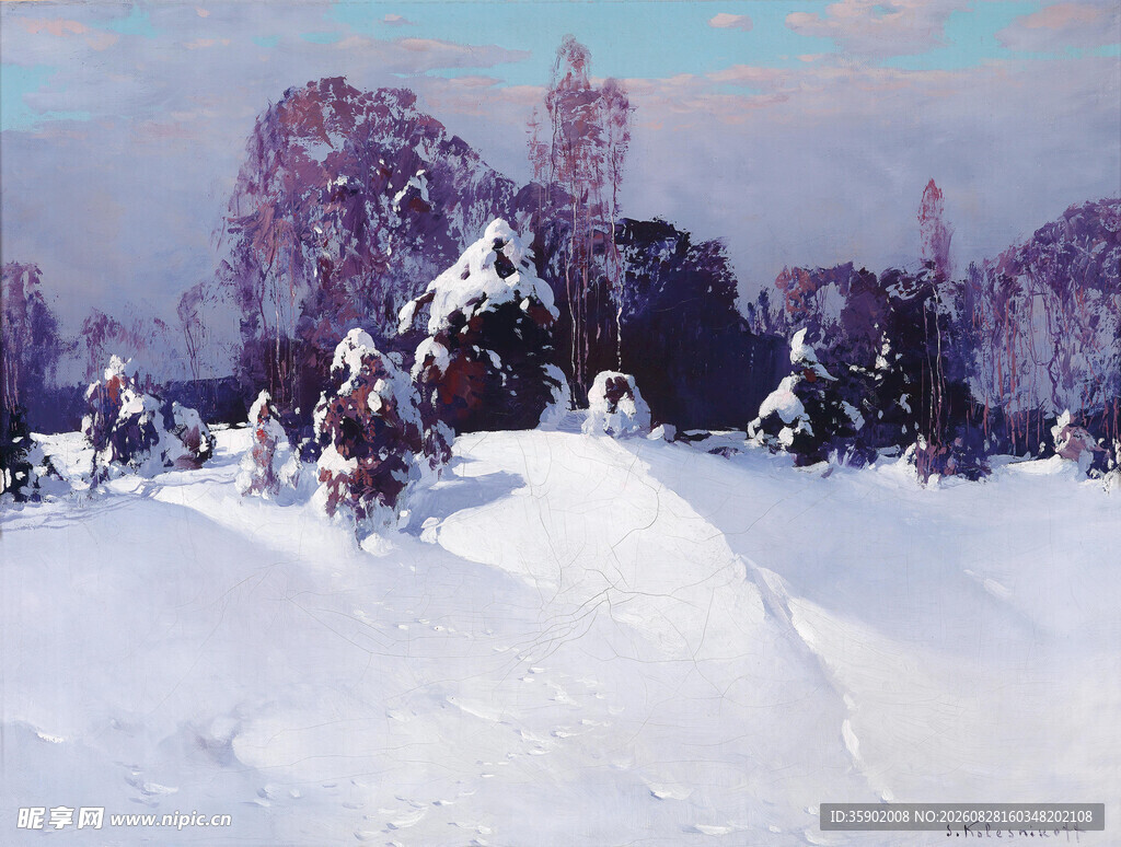 冬日雪景中的树木景观