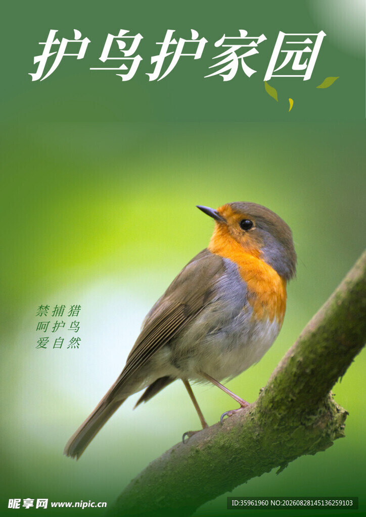 保护鸟类护家园
