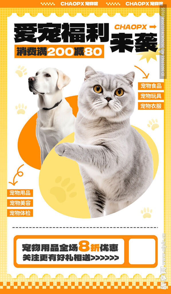 宠物猫美容服务宣传图