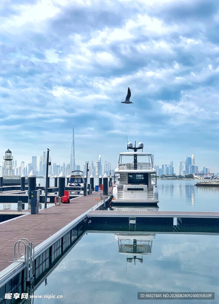 宁静码头的船只与飞翔海鸟