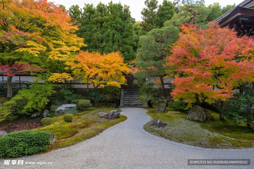 庭院
