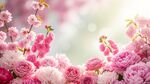 鲜花