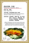 红菇中药材介绍页面展示