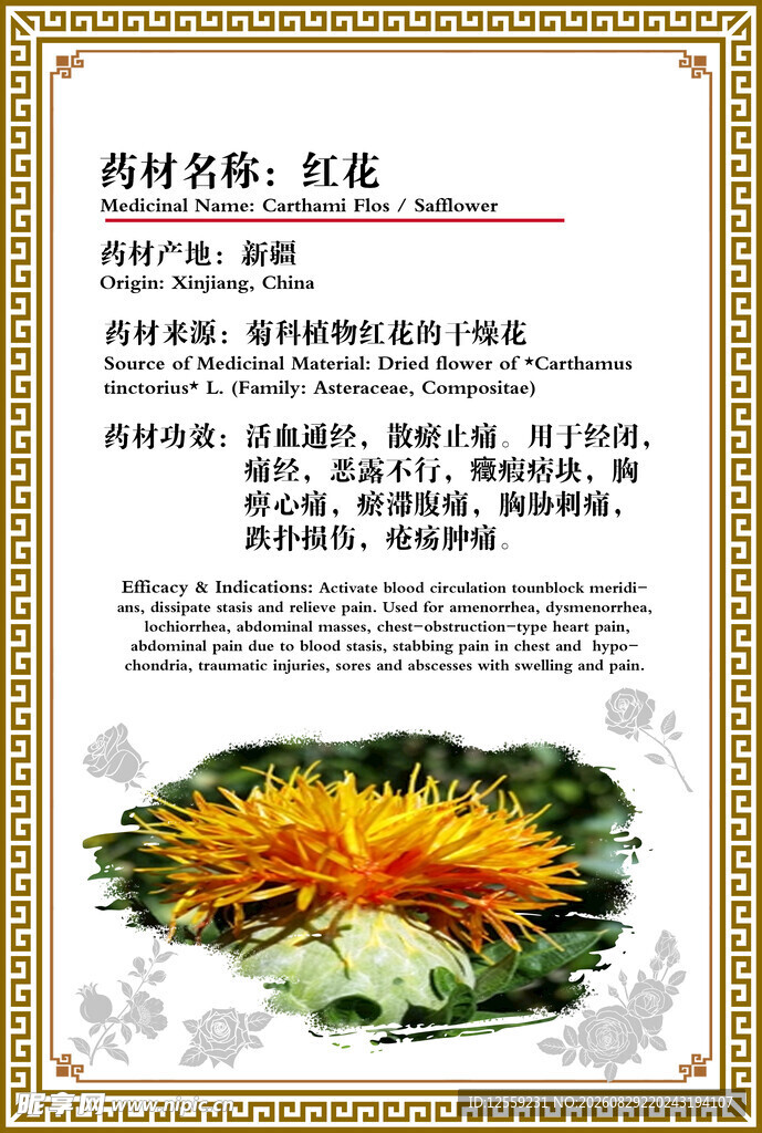 红菇中药材介绍页面展示