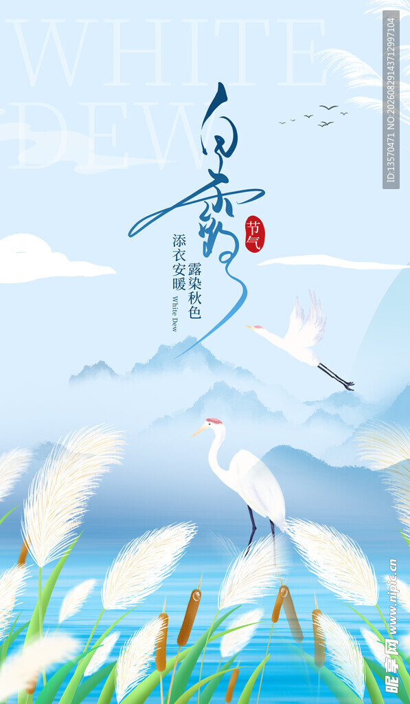 白露时节   白鹭伴花飞翔