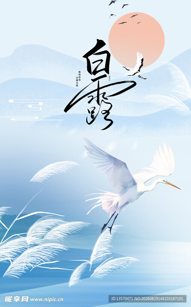 白鹭翔于云海红日之下