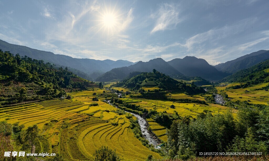秋日山间金黄稻田美景