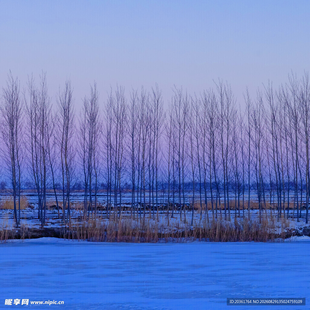 冬日河畔树林雪景