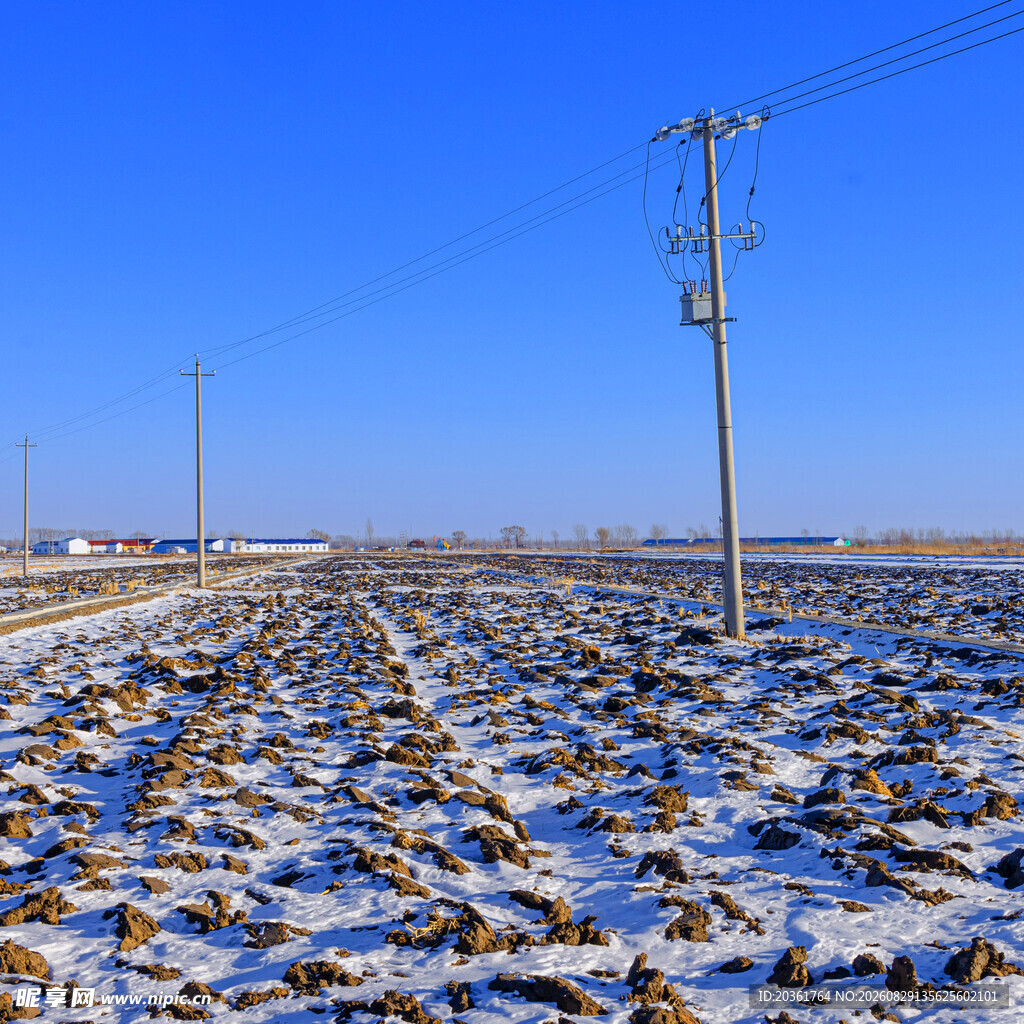 雪覆农田与电线杆景观