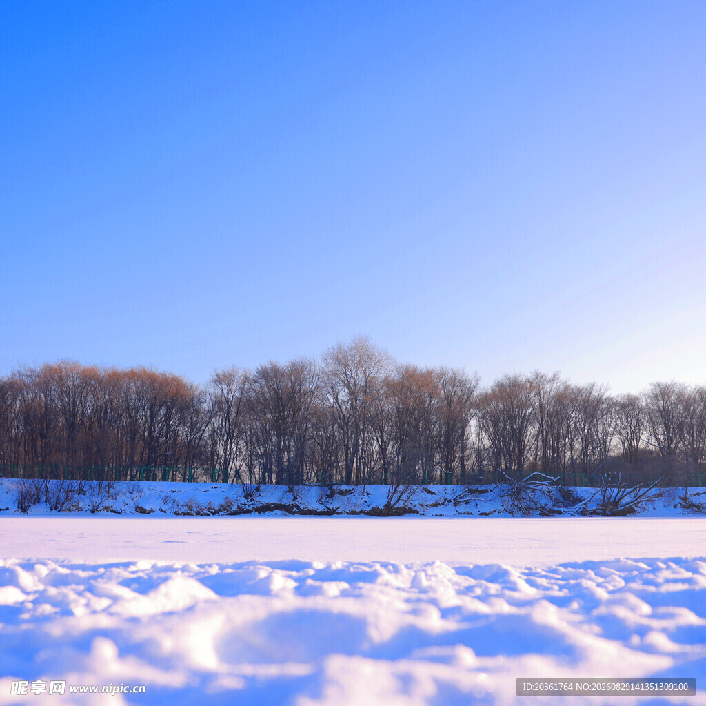 冬日雪地与远处树林景观