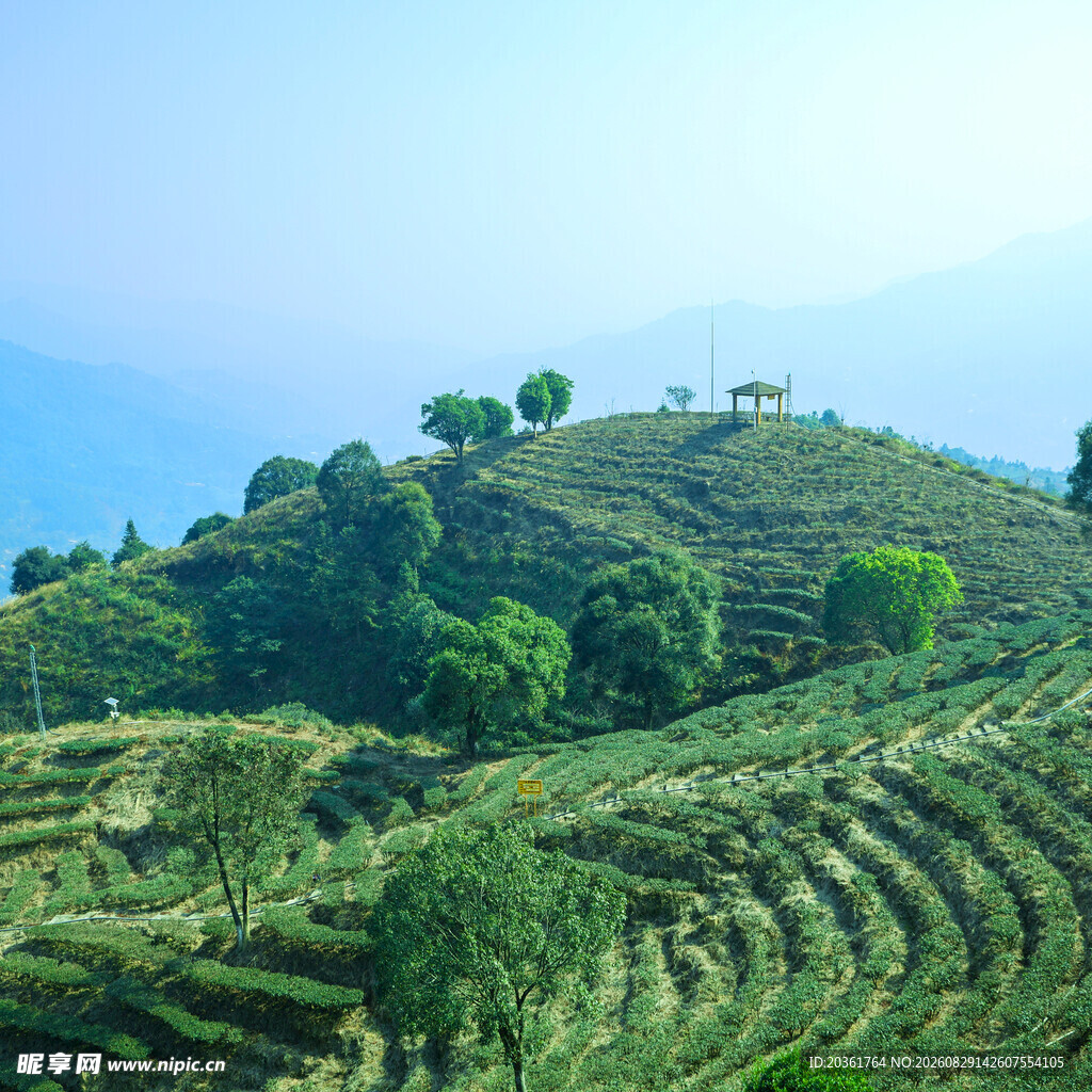 翠绿梯田山丘美景