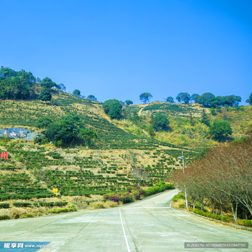 山间蜿蜒公路与葱郁景致