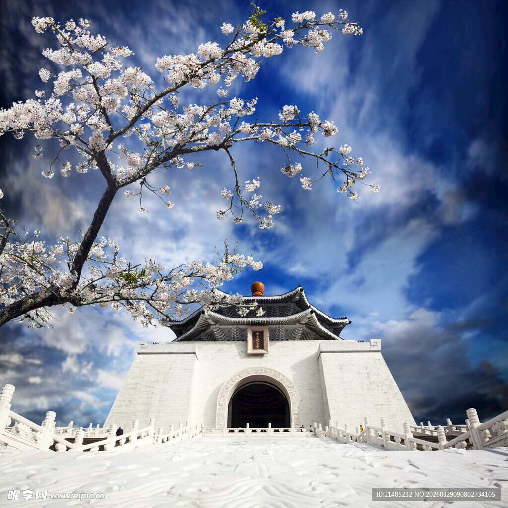 樱花