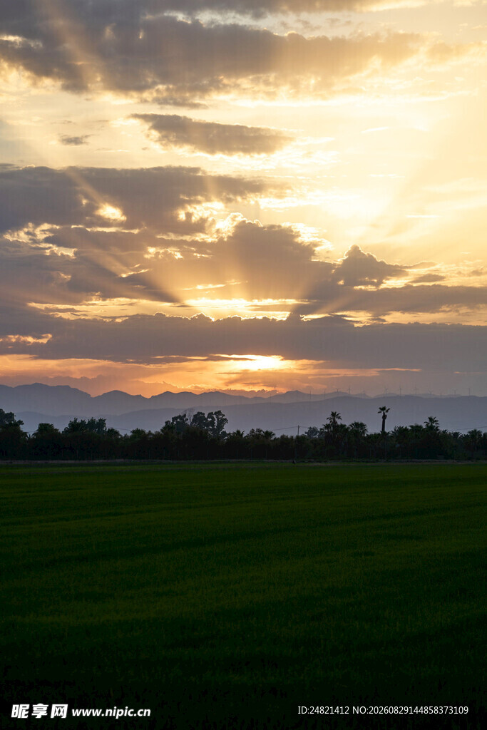 夕阳下的广袤绿色田野
