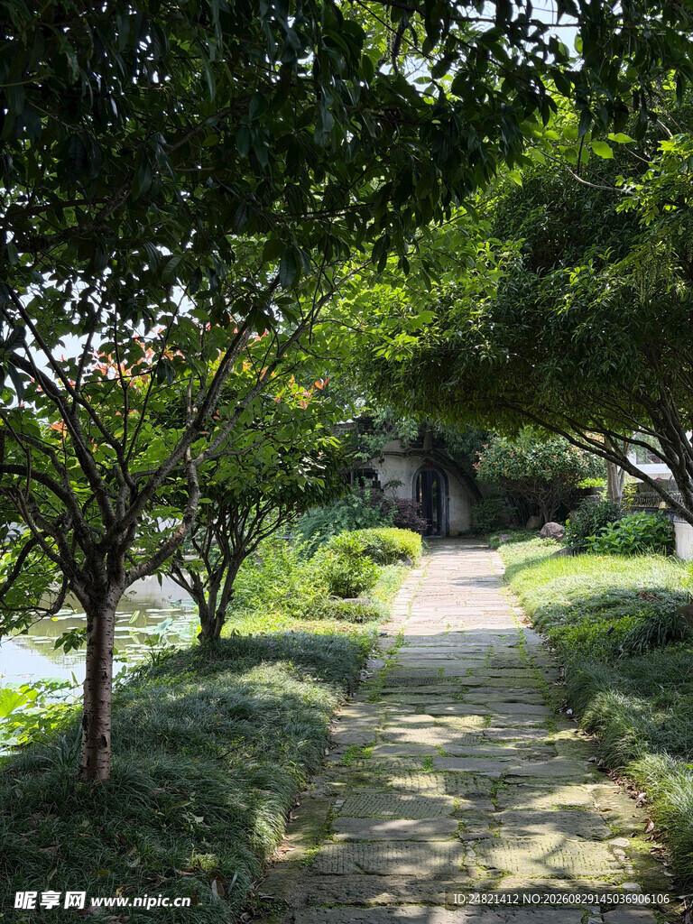 林间小径