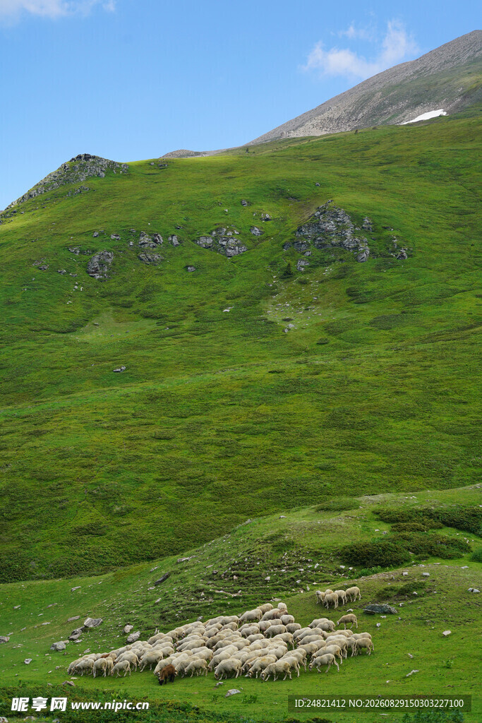 翠绿山坡上的岩石景观