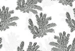 黑白蕨类植物花纹图案