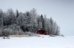 雪覆树林中的红色小屋