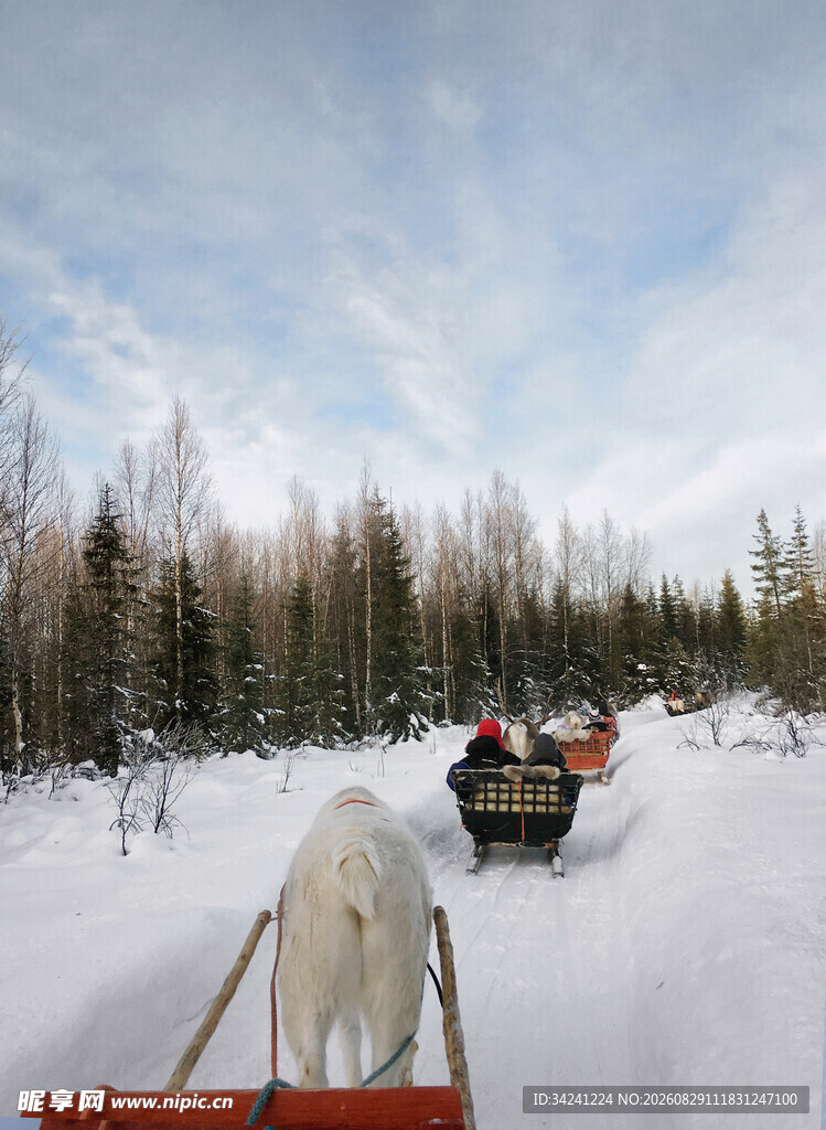 雪地马拉雪橇之旅