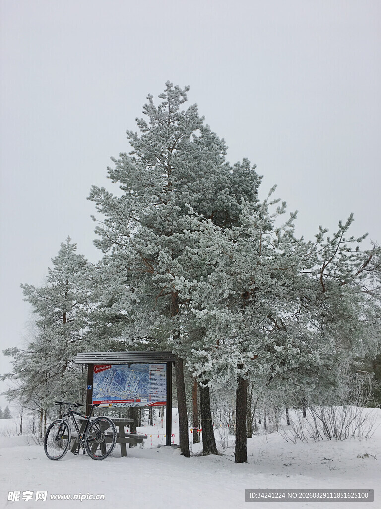 雪覆树木旁的户外广告牌