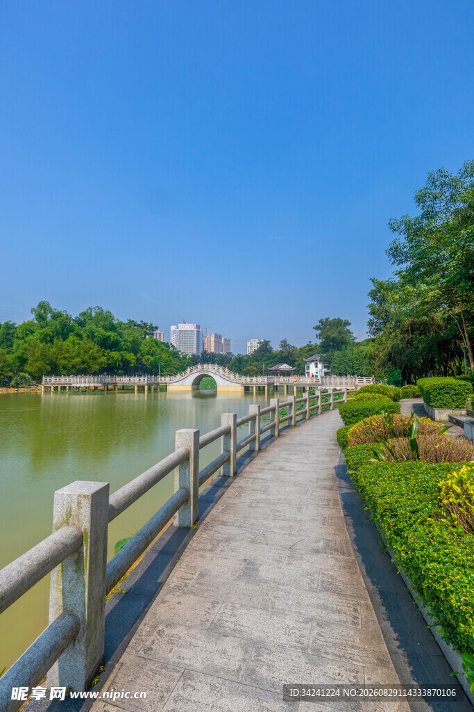湖畔木径绿意盎然的美景